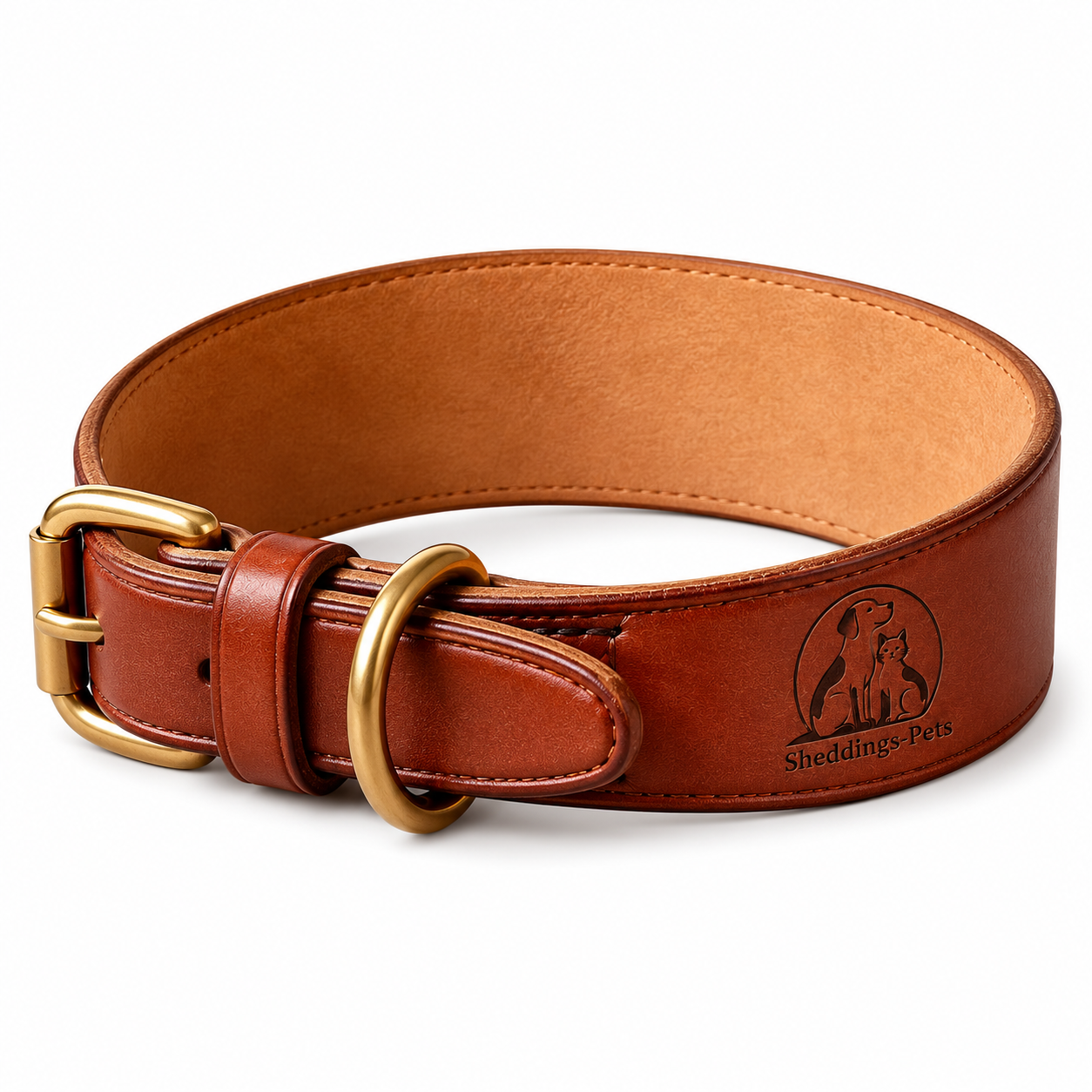 Pet Collar & Harness